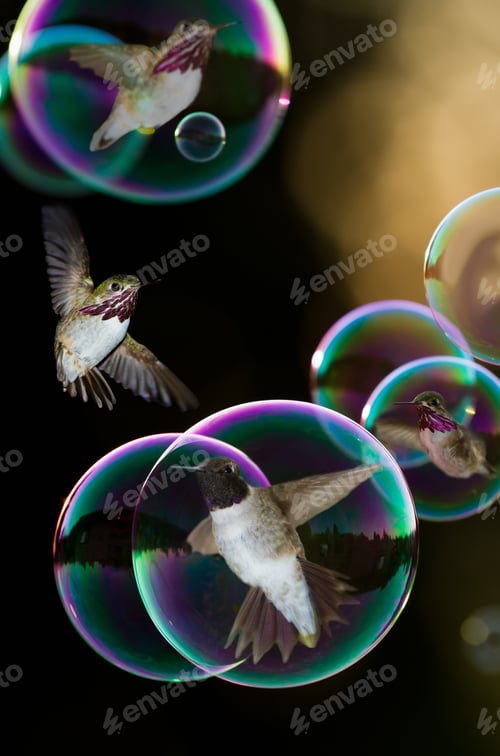 Preview: Concept Of A Humming Bird Floating In A Soap Bubble