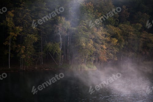 Preview: Early Morning Mist On A Quiet Lake Reflecting Trees