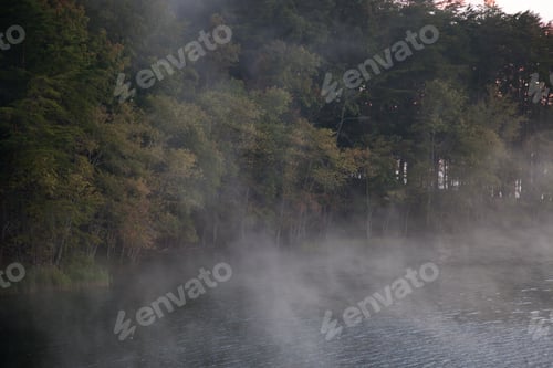 Preview: Early Morning Mist On A Quiet Lake Reflecting Trees