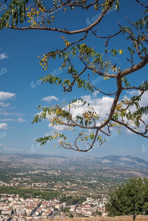 Preview: Hanging Over The Edge - Tree Branch With Flowers Hanging Over The Beautiful Landscape - Vertical