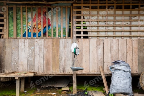 Preview: Image Of A Traditional House In Peruvian Amazon Forest. House Of Indigenous People From The