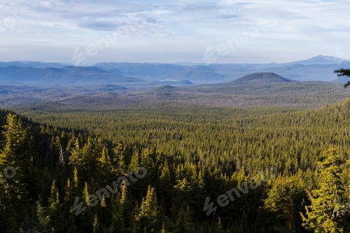 Preview: View Of Diamond Lake From The Mount Thielsen Trail With Dense Forest Vegetation In The Foreground