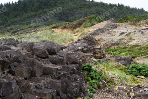 Preview: Natural Feature In The Central Oregon Coast Where Lava Rock Filled Cracks And Solidified Separating
