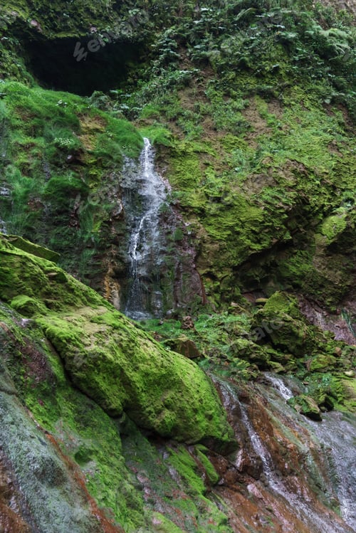 Preview: Low Angle View Of Waterfall In A Forest, Costa Rica