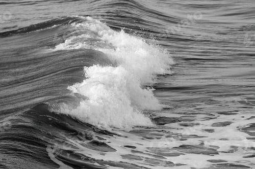 Preview: Ocean Waves In Black And White