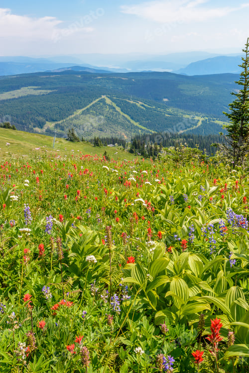 Preview: Beautiful Landscape Of Valley In Alpine Mountains, Small Trail, Hike Root, Majestic Picturesque