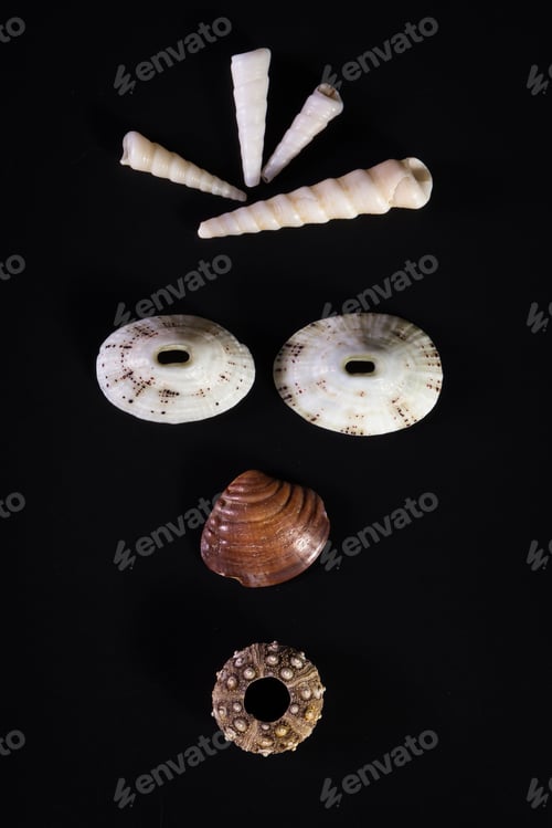 Preview: Sea Shells Arranged So That They Create A Face Emanating Emotion