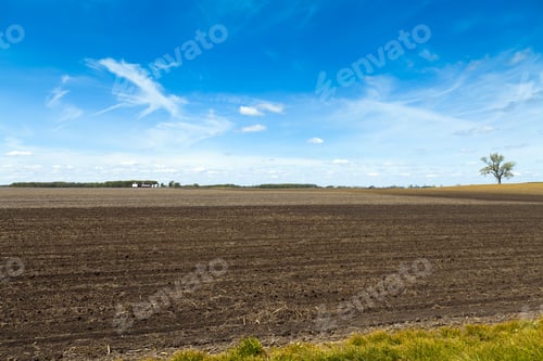 Preview: Rural Landscape with Brown Field Under Blue Sky