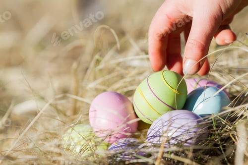 Preview: Closeup Of Pastel Color Easter Eggs On A Dried Grass Background