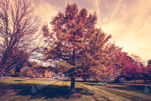 Preview: Autumn