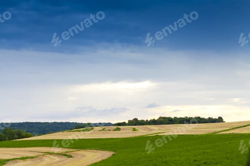 Preview: Field With Stormy Sky