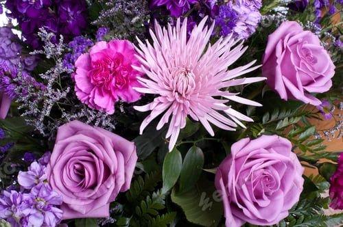 Preview: Holiday Flowers Arrangement In Violet Hue