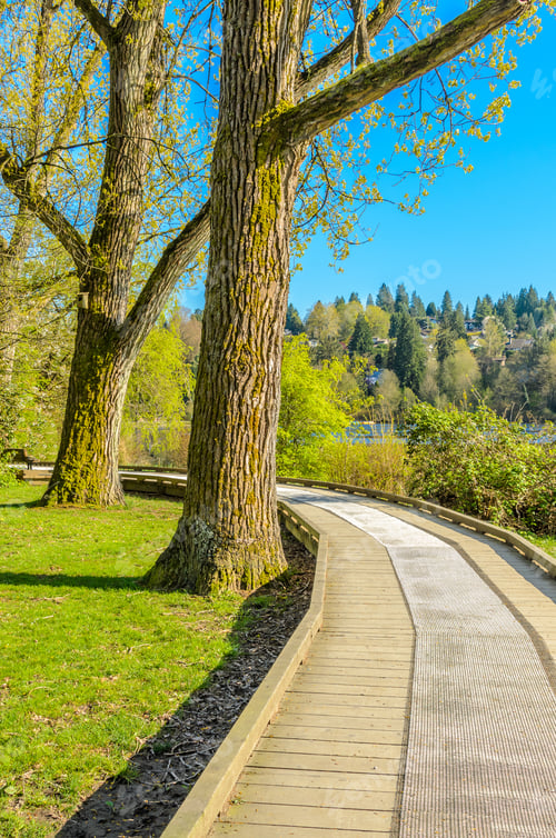 Preview: Fragment Of Deer Lake Trail In Vancouver, Canada.