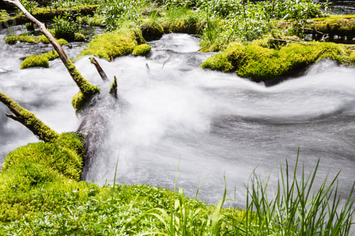 Preview: Close Up Of A Pristine Spring Flowing Thru The Woods In Oregon