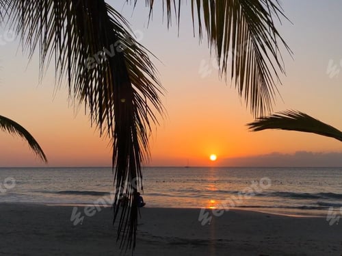 Preview: Sunset On The Beach Through Palm Leaves