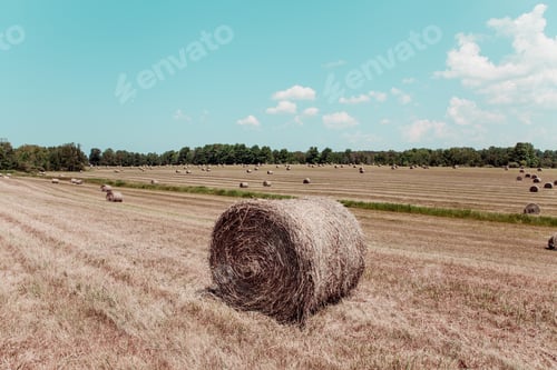Preview: Hay Bale On American Countryside