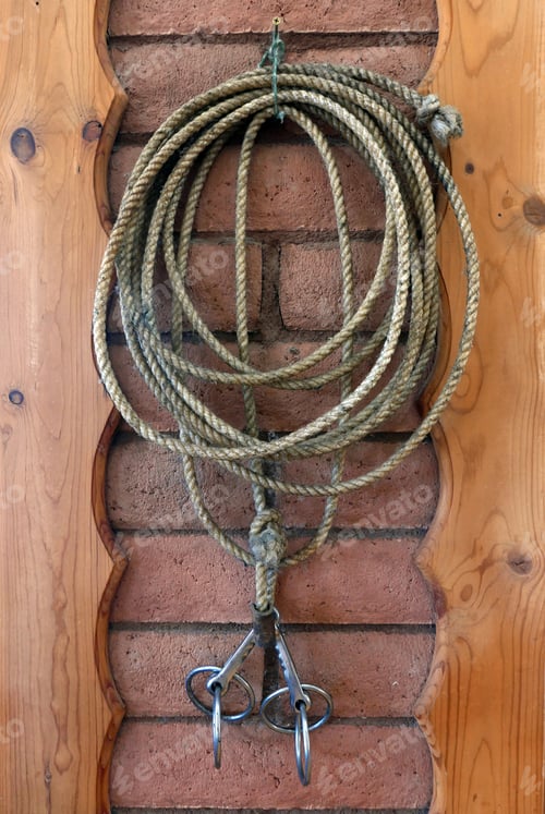 Preview: Lasso Rope And Bridle Bit Hanging On A Brick Wall