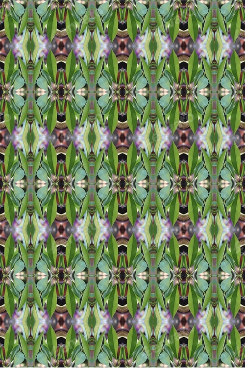 Preview: An Abstract Of Fresh Green Plumeria Rubra Leaves 0053