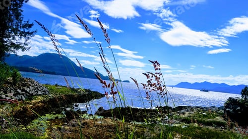 Preview: Landscape Behind Reeds In Alaska