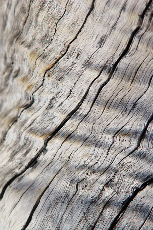 Preview: Textured Background Of Hardwood - Wood From The African Wilderness Weathered With Time