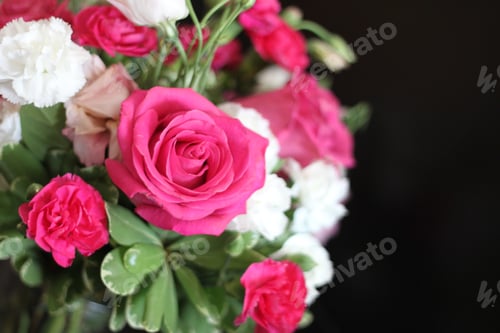 Preview: A Bouquet Of Red White And Pink Roses 1596