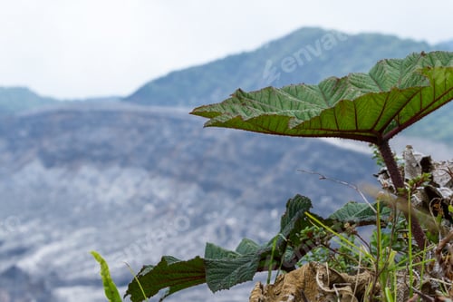 Preview: Close Up Of The Area Surrounding The Poas Volcano In Costa Rica Showing Erosion And Details Of The