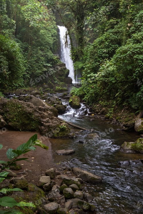Preview: Beautiful Waterfall In A Tropical Rain Forest In Central Costa Rica