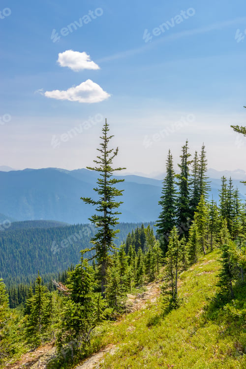 Preview: Rocky Mountains. Coastal Mountains. Blackwall Peak Trail In Manning Park. British Columbia. Canada.