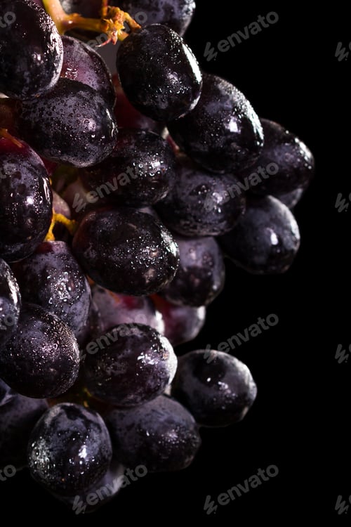 Preview: Close Up Of A Bunch Of Dark Purple Grapes Hanging Over A Black Background