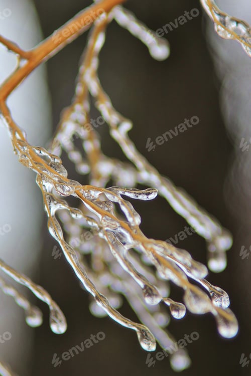 Preview: Ice Background - Icicles In Colorful Nature - Crystals Of Fine Freeze