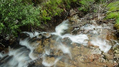 Preview: A River Flowing Over Rocks In A Scottish Forest During Summer Showing Green Moss And Clover Against