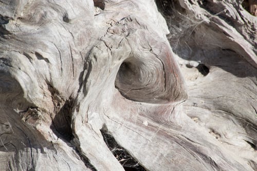 Preview: Abstraction Of Wood In The Sunshine