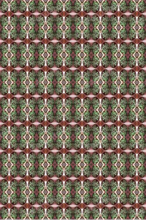 Preview: A Sweet Mint Bush Abstract With Leaves Damaged By Summer Heat And Garden Pests 0449
