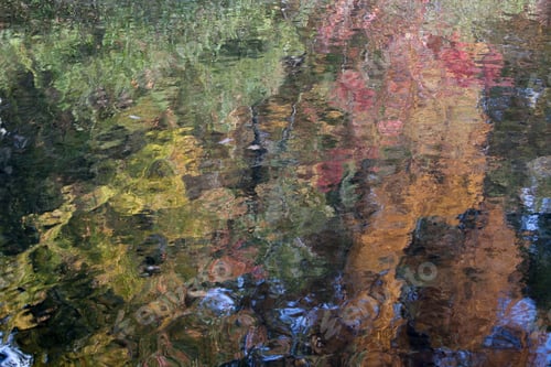 Preview: Natural Abstraction Of Fall Leaves Reflected In A Lake, With Red, Orange, Yellow And Green, And The