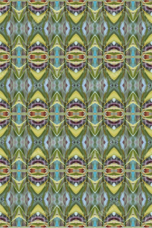 Preview: An Abstract Of Fresh Green Plumeria Rubra Leaves 0043
