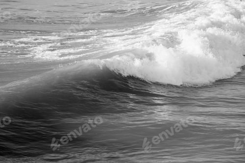 Preview: Ocean Surf In The Sunshine In Black And White