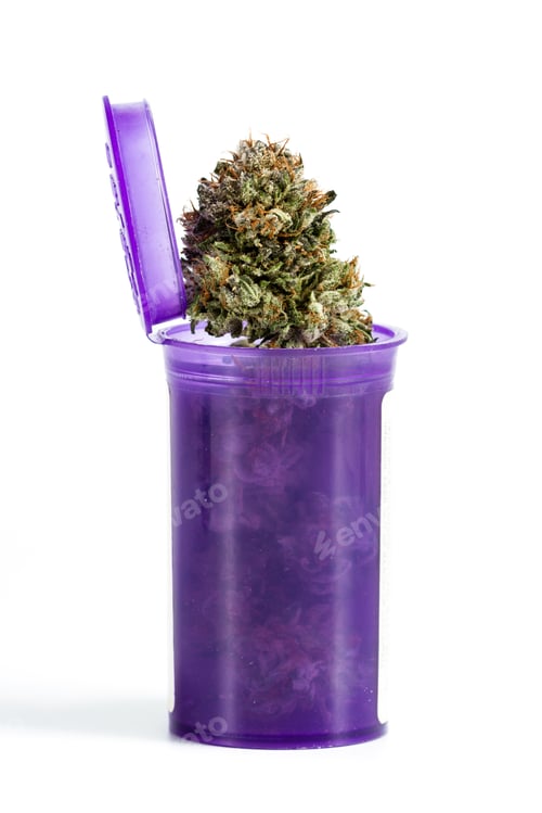 Preview: Close Up Of A Purple Prescription Bottle With Cannabis Buds Isolated On A White Background