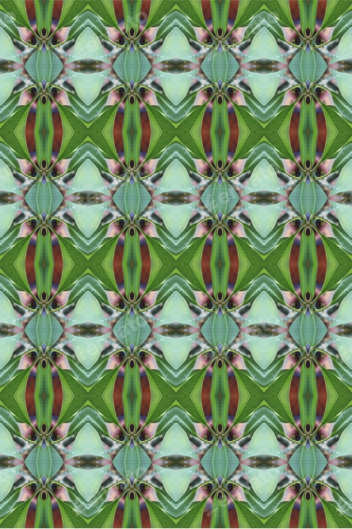 Preview: An Abstract Of Fresh Green Plumeria Rubra Leaves 0048
