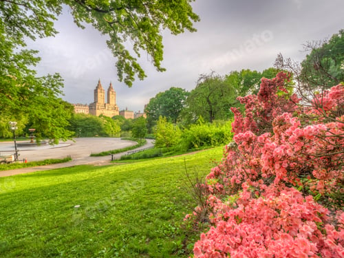 Preview: Central Park, Manhattan, New York City In Spring,On Foggy Misty Day