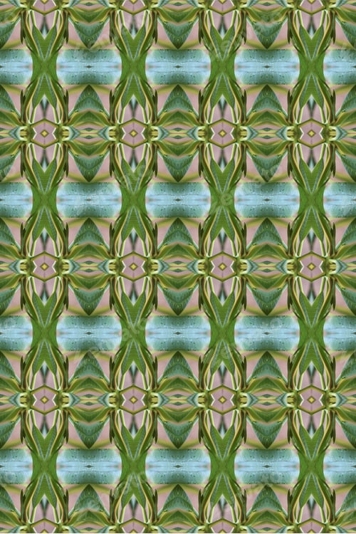 Preview: A Plumeria Rubria Plant Abstract With Lush Green Leaves 0561
