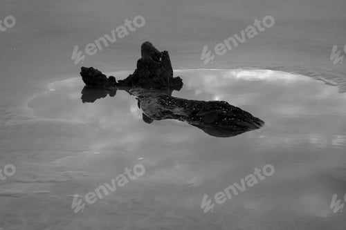 Preview: Sky And Wood Reflected In Water Over Sand