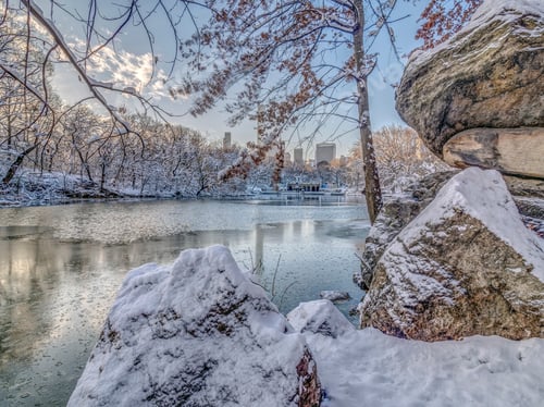 Preview: At The Lake In Central Park, New York City