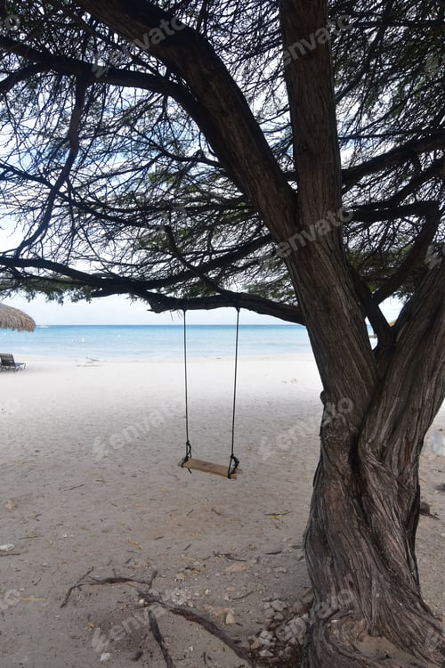 Preview: Stunning Beach With A Swing In Aruba