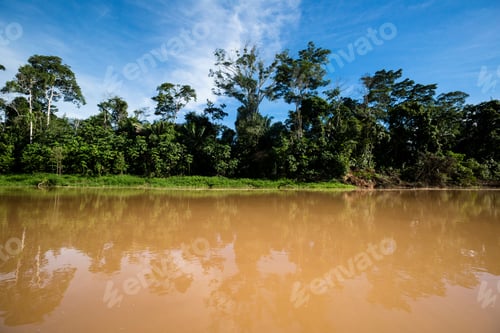 Preview: Image Of River In Peruvian Jungle. Amazon Forest During Day With Clouds. Open Nature Traveling In
