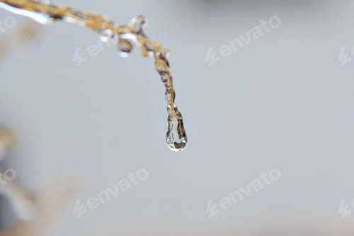 Preview: Ice Background - Icicles In Colorful Nature - Simplistic Icon Of Cold