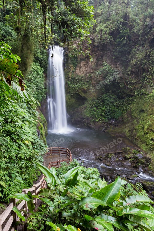 Preview: Beautiful Waterfall In A Tropical Rain Forest In Central Costa Rica