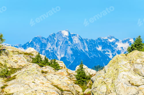 Preview: Fragment Of Mount Seymour Trail In Vancouver, Canada.