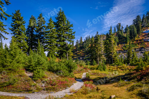 Preview: Fragment Of A Trail In Mount Baker Visitor Center, Wa, Usa.