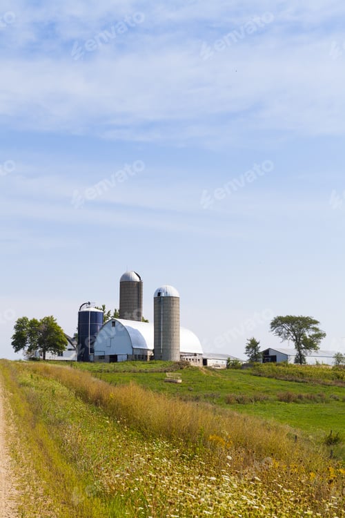 Preview: Traditional American White Farm In Summer
