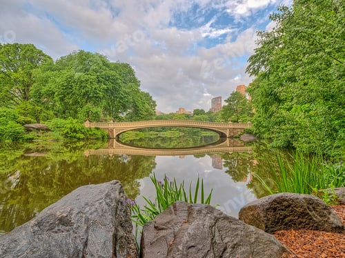 Preview: Central Park, Manhattan, New York City In Spring On Cloudy Day